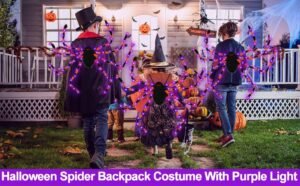 LED Light Up Halloween Spider Backpack